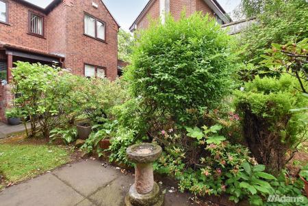 image12