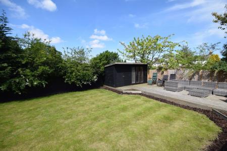 image26