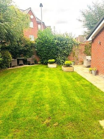 image25