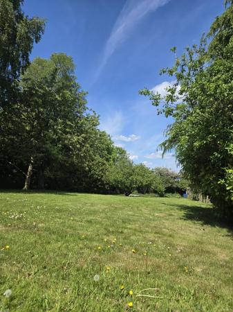 image15