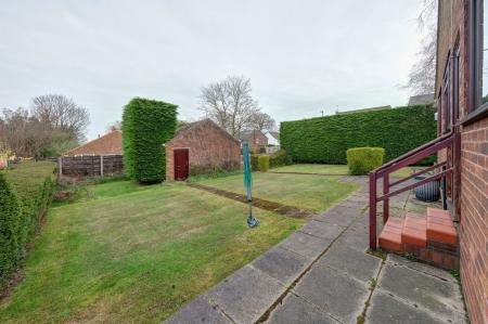 image15