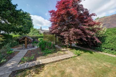 image20