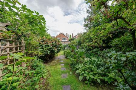 image26