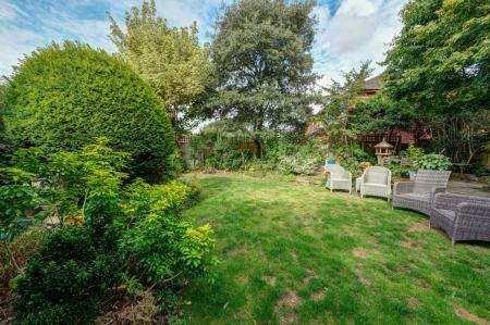 image25