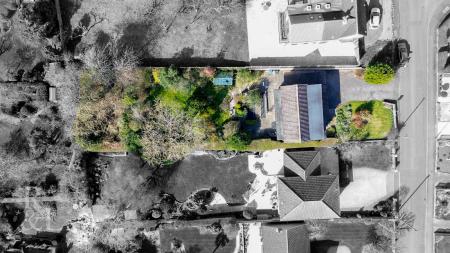 DJI_0920.jpg