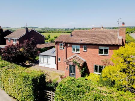 DJI_0064.jpg