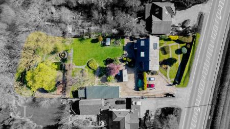 DJI_0011.jpg