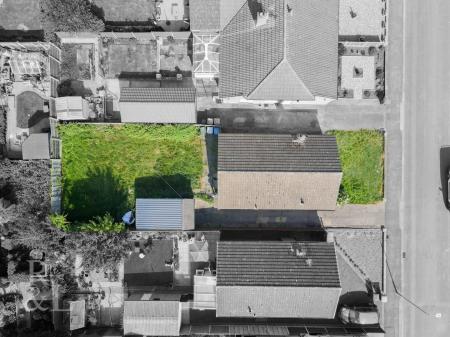 DJI_0981-2.jpg