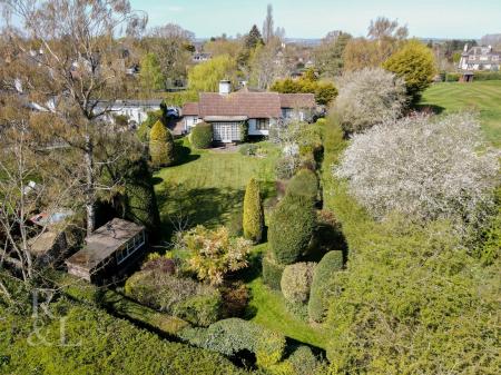 DJI_0707.jpg
