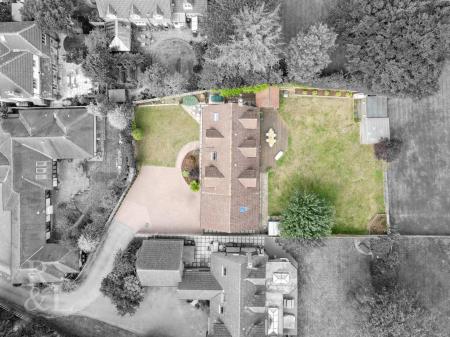 DJI_0505.jpg