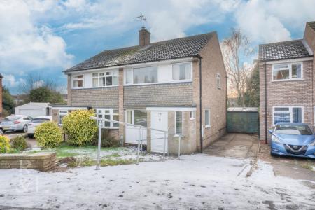 EBrIaHl-P06OtO3ah_93Dg copy.jpg