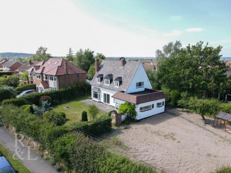 DJI_0231.jpg