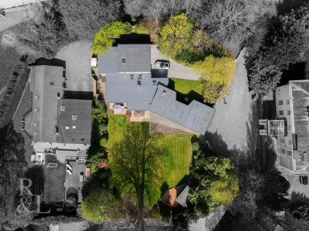 DJI_0774.jpg