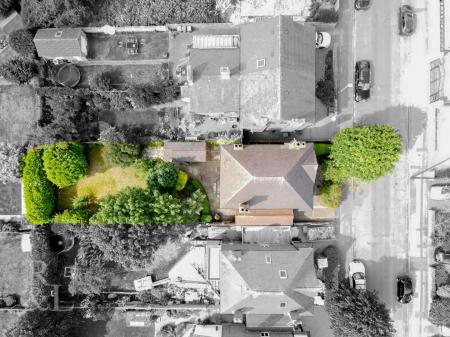 DJI_0156-2.jpg