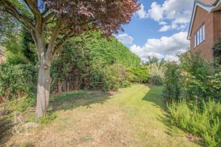 7 Little Hayes (28).jpg