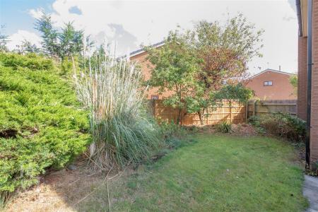 7 Little Hayes (26).jpg