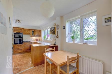 7 Little Hayes (3).jpg