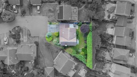 7 Little Hayes (21).jpg