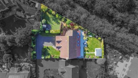DJI_0095.jpg