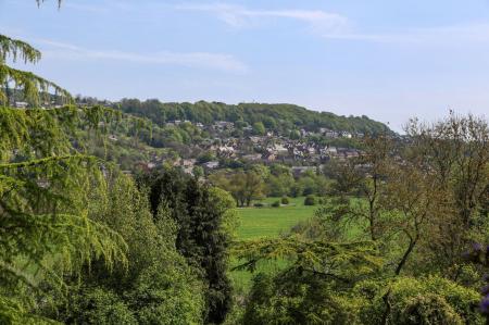 image24