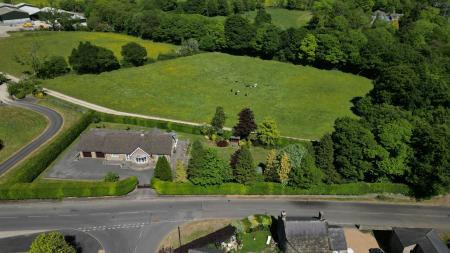 image29