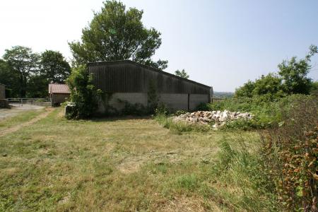 image4