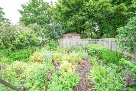 Garden Allotment