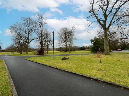 Communal Grounds