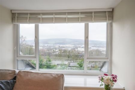 Lounge Window