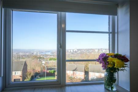 Window View