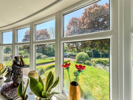 Window Outlook