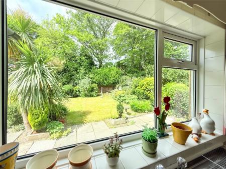 Lounge Window