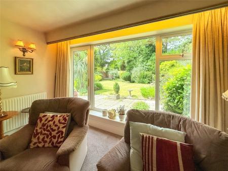 Lounge Window