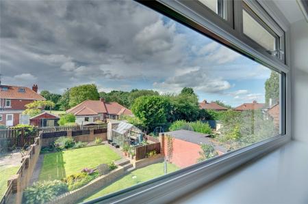 Window View