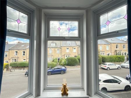 Window