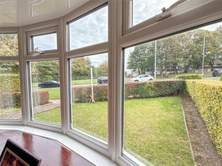Bay Window