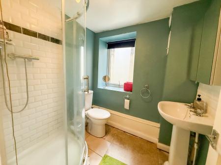 Basement Shower Room