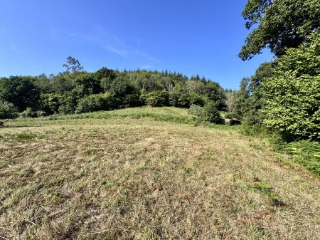 Chudleigh, Devon