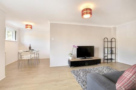 lounge2