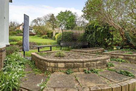 Raised Beds