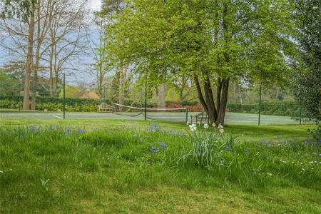 Tennis Court In Wood