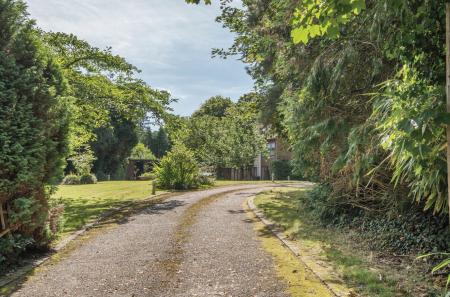 Sweeping Driveway