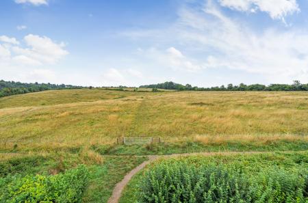 Pewley Downs