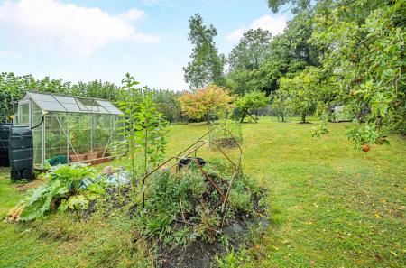 Kitchen Garden