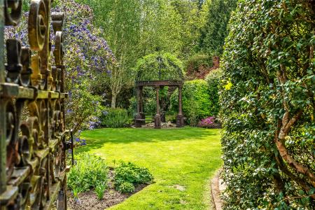 Rose Garden