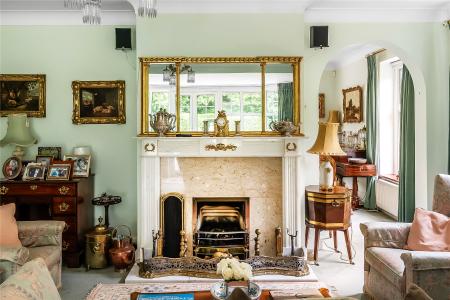 Feature Fireplace