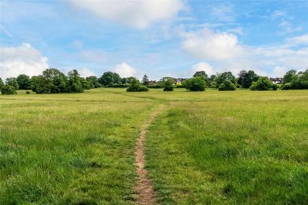The Downs