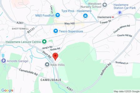 Google Maps Image