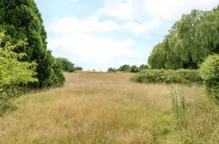 1325060-4-6877b74...