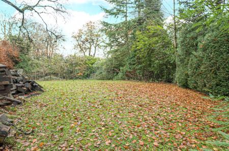 1376562-53-69137e...